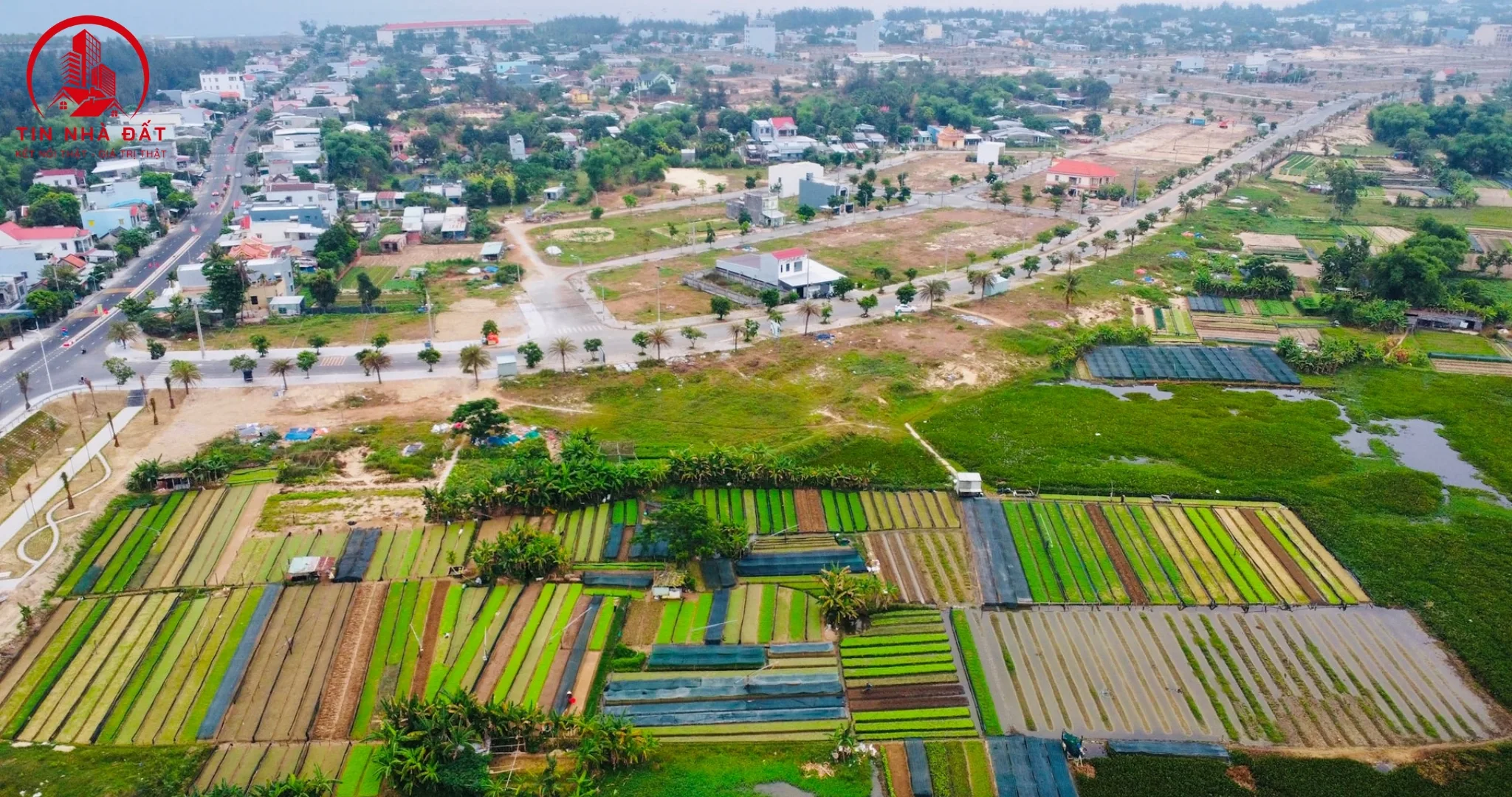 Thuê đất nền quy hoạch mới