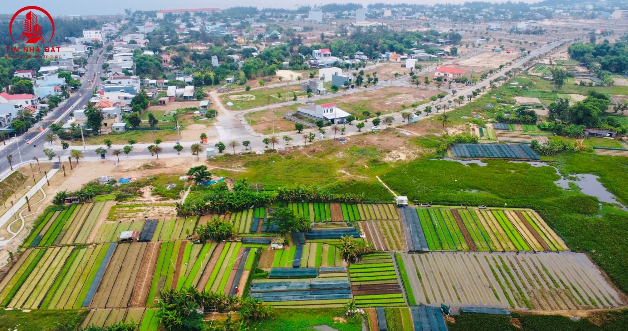 Thue Ngay Nha Dat Phap Ly Ro Rang